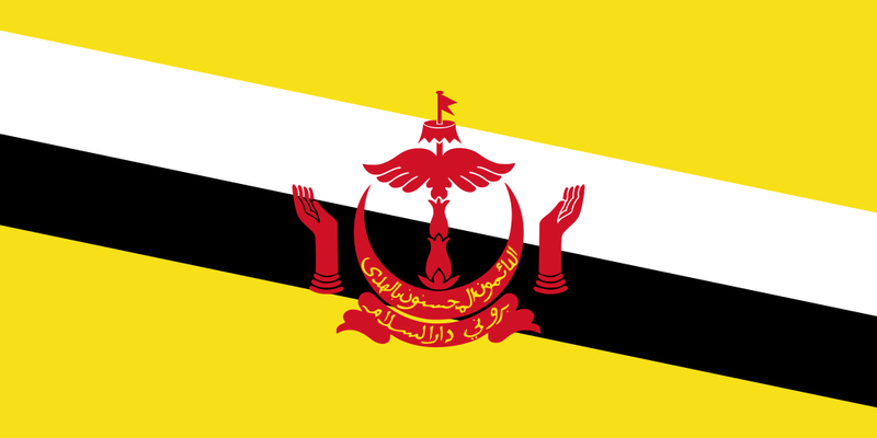File:Flag of Brunei.png