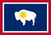 Flag of New Wyoming