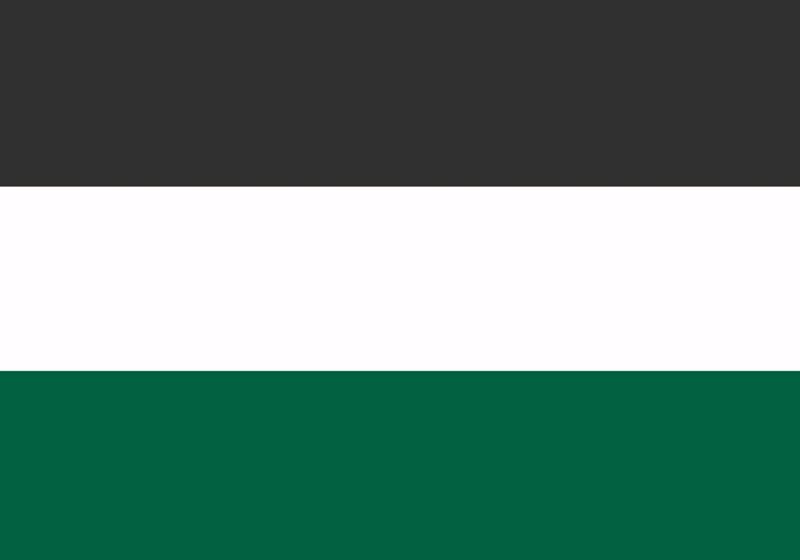 File:Xingu 3 flag.jpg