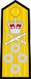 Admiral (Vishwamitra) - Shoulder (OF-9).svg