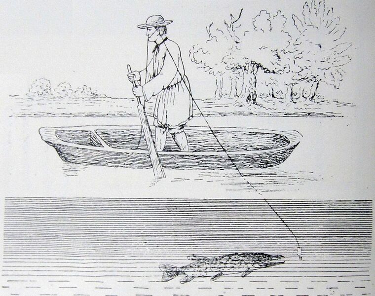 File:Artistic representation of a Silištean fisherman using an unique Snagovian technique to catch fish.jpg