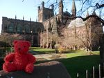 Outside Chester Cathedral.