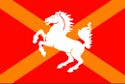 Flag of the United tiktok states of Tuceria