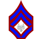 Sergeant First Class of the Army