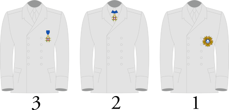 File:Wearing of the insignia of the OMM.png