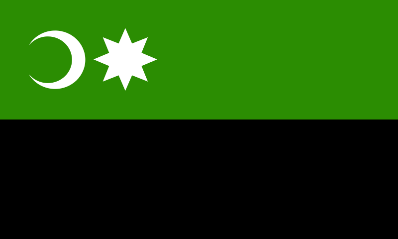 File:Flag of Gruiu.svg
