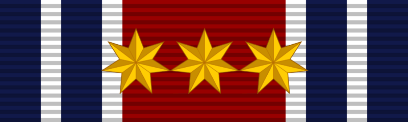 File:National Service Medal 2nd Class.png