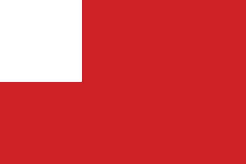 File:Flag of Suwerenny.png