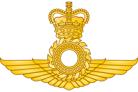File:Royal Vishwamitran Air Force - Badge.svg