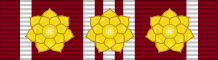 File:Ribbon bar of the Distinguished and Long Service Medal (Vishwamitra) - 3 rosettes.svg