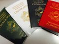 Four types of Schwanian passports: Official, Diplomatic, Ordinary, Temporary