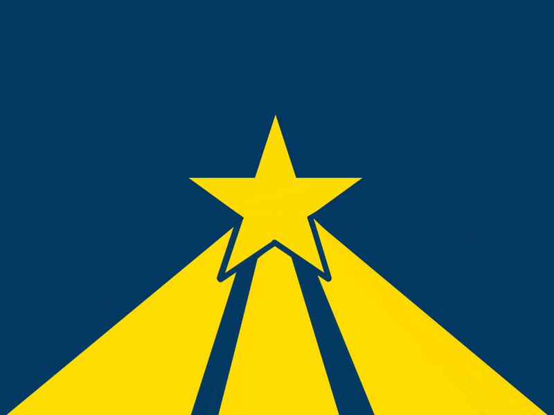File:Freedom Party Flag.png