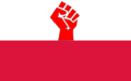 Flag of the Nedlandic Polish Territory.