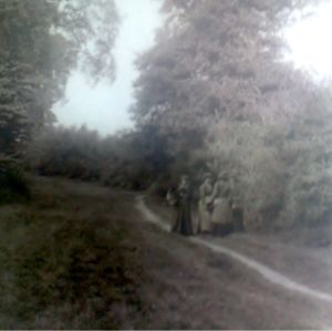 Part of Green Wrythe Lane at some point between 1900 and 1920.