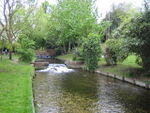 The Wandle downstream from the Cascade, 2007.