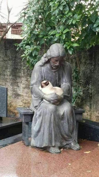 File:Jesus cat.jpg
