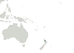Location of New Shetland within Oceania