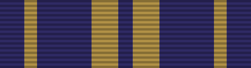 File:Ribbon of Dress and Appearance.svg