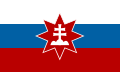 Flag used by the Snagovian Slovak community