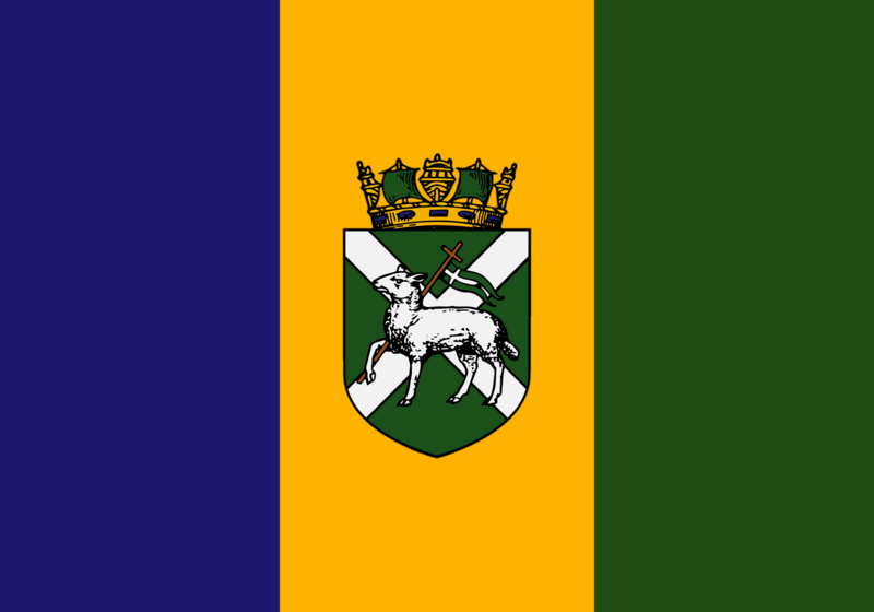 File:Flag of Barvinia.png