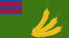 Flag of Autonomiczna Prowincja Majerówki