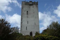 Ballindooley Castle, located on the border with Ireland.