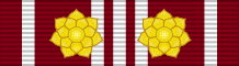File:Ribbon bar of the Distinguished and Long Service Medal (Vishwamitra) - 2 rosettes.svg