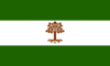 flag of the Amboune