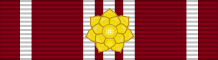 File:Ribbon bar of the Distinguished and Long Service Medal (Vishwamitra) - 1 rosette.svg