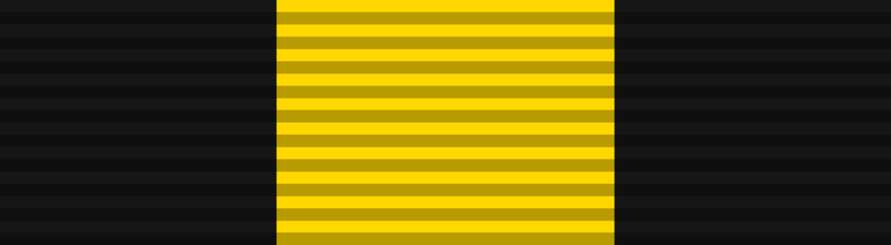 File:Medal of Service SMOSG.png