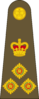 West Canadian Army Brigadier