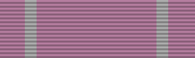 File:Blazdonian Operational Service Medal - Civ.svg