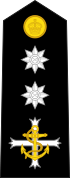 Naval insignia
