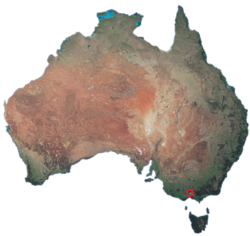 Red circle denotes location of Ameristralia within Australia