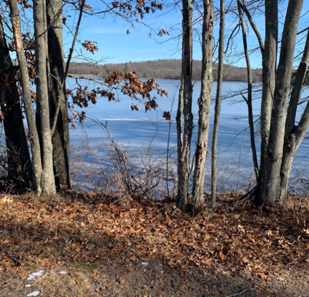 File:Frozen Lake Millis.png