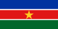 Current flag since 18 August 2021