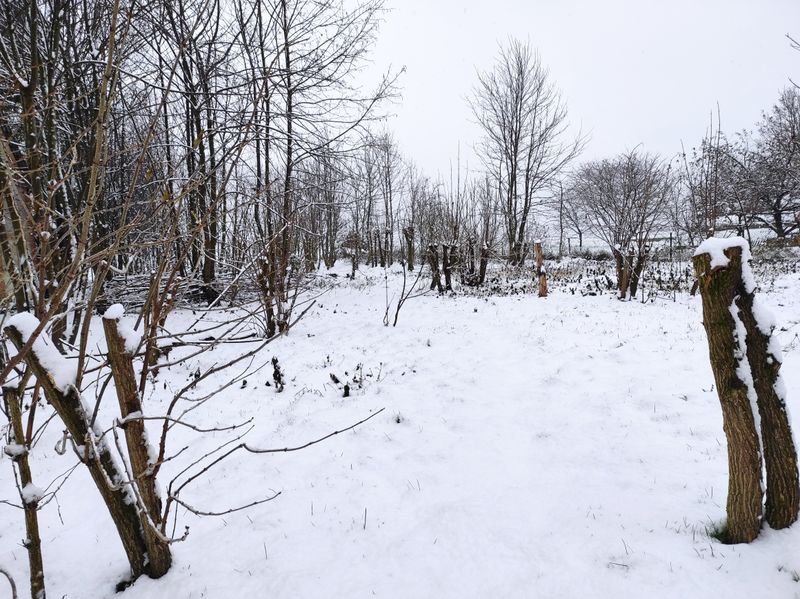 File:Snow in Lukland December 2020.jpg