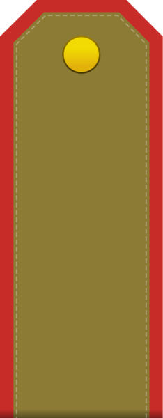 File:Islandese Soldier (Army) (Paradise Island's World).png