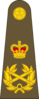 West Canadian Army Field Marshal