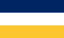 Flag of Astovian Union