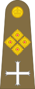 Army insignia