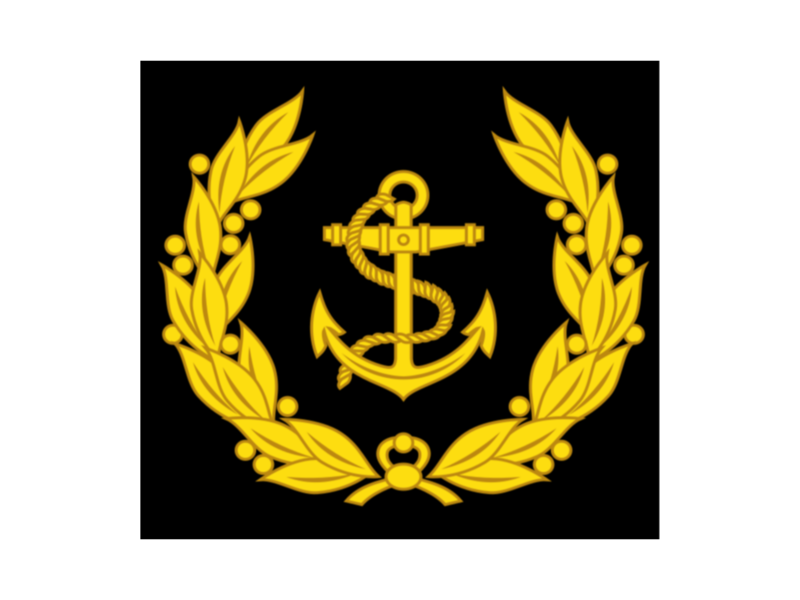 File:IMA-03 Navy Sleeve Insignia.png