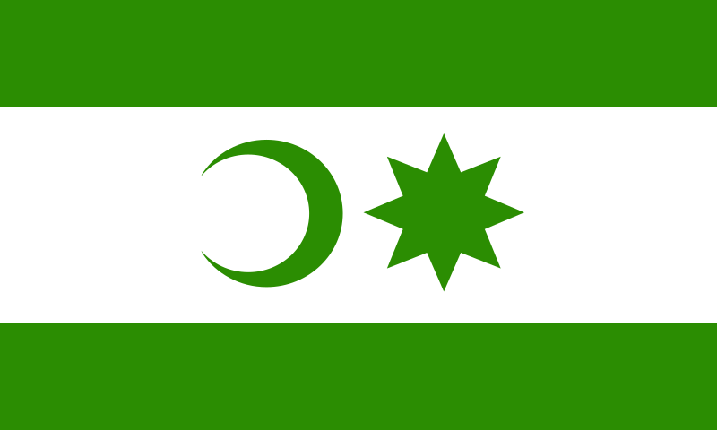 File:Flag of Ciolpani.svg