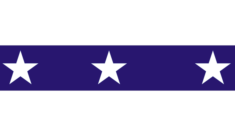 File:IL Flag 2012.png