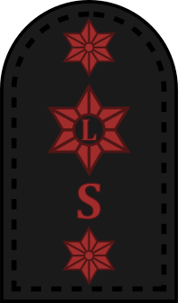File:Trade badge of a leading storesman.svg