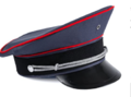 An Excelsioran military cap, used by High Command Members.