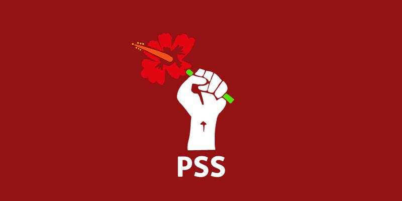 File:Flag of the Socialist Party of Subejia.jpg