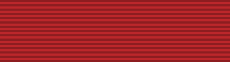 File:Ribbon of First Aid Certification.svg