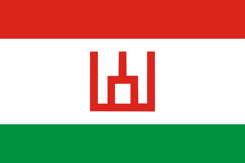 File:3 вариант флага Бориславля.png