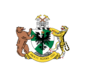 Coat of arms of New Siber